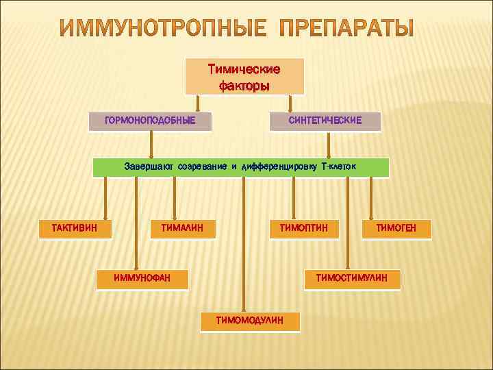 Тимические факторы ГОРМОНОПОДОБНЫЕ СИНТЕТИЧЕСКИЕ Завершают созревание и дифференцировку Т-клеток ТАКТИВИН ТИМАЛИН ТИМОПТИН ИММУНОФАН ТИМОГЕН