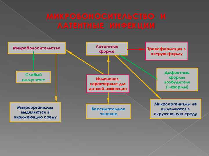 МИКРОБОНОСИТЕЛЬСТВО И ЛАТЕНТНЫЕ ИНФЕКЦИИ Микробоносительство Слабый иммунитет Микроорганизмы выделяются в окружающую среду Латентная форма
