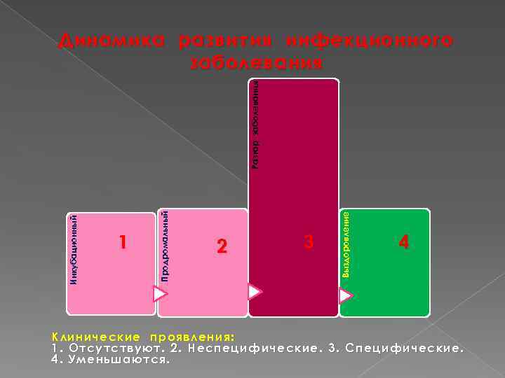 2 3 Выздоровление 1 Продромальный Инкубационный Разгар заболевания Динамика развития инфекционного заболевания 4 Клинические