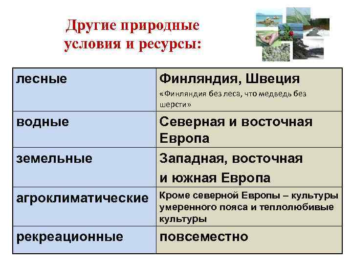 Другие природные условия и ресурсы: лесные Финляндия, Швеция «Финляндия без леса, что медведь без