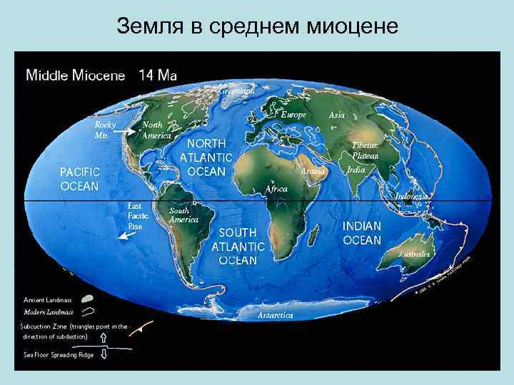 Земля в среднем миоцене 