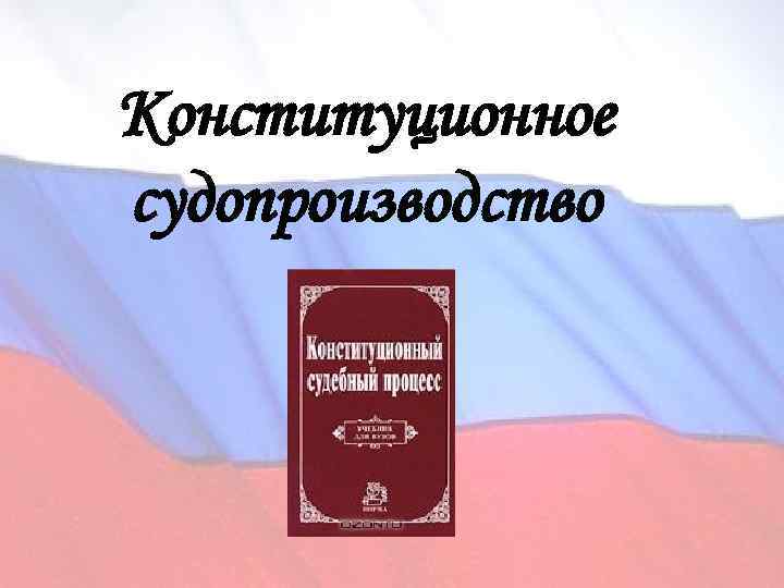 Конституционное судопроизводство презентация 11 класс