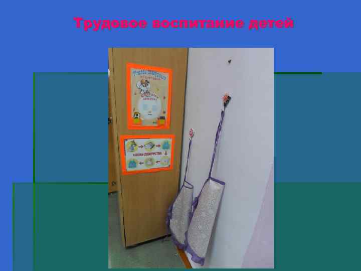 Трудовое воспитание детей 