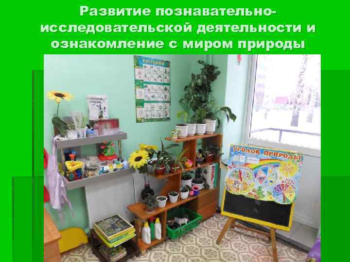 Развитие познавательноисследовательской деятельности и ознакомление с миром природы 