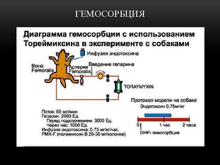 ГЕМОСОРБЦИЯ 