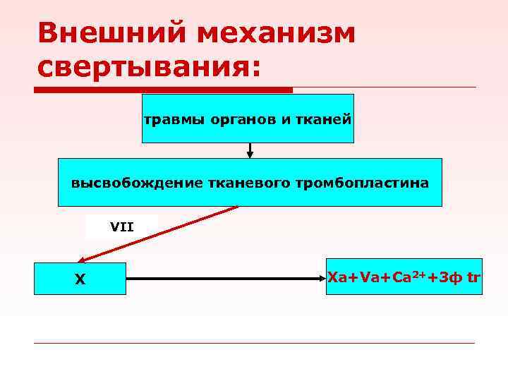 Внешний механизм свертывания: травмы органов и тканей высвобождение тканевого тромбопластина VII X Xа+Vа+Са 2++3