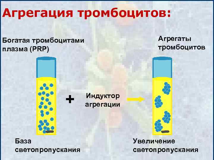 Агрегация тромбоцитов: Агрегаты тромбоцитов Богатая тромбоцитами плазма (PRP) + База светопропускания Индуктор агрегации Увеличение