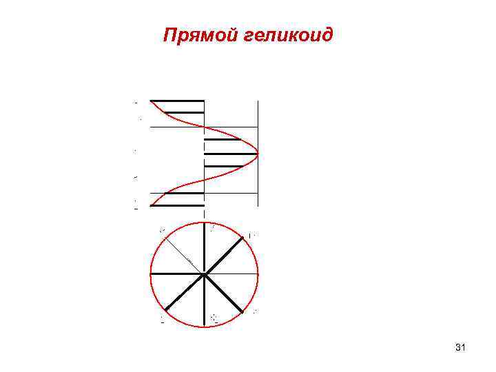 Прямой геликоид 31 