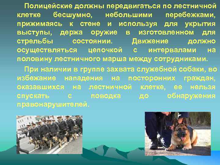 Полицейские должны передвигаться по лестничной клетке бесшумно, небольшими перебежками, прижимаясь к стене и используя