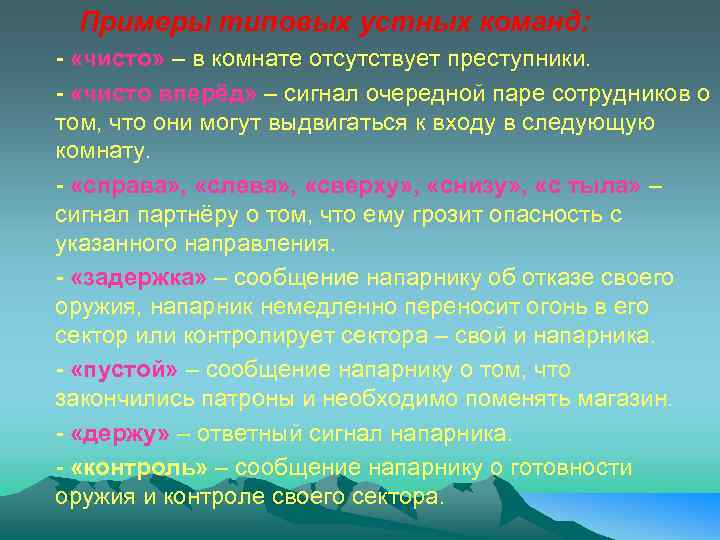 Примеры типовых устных команд: - «чисто» – в комнате отсутствует преступники. - «чисто вперёд»