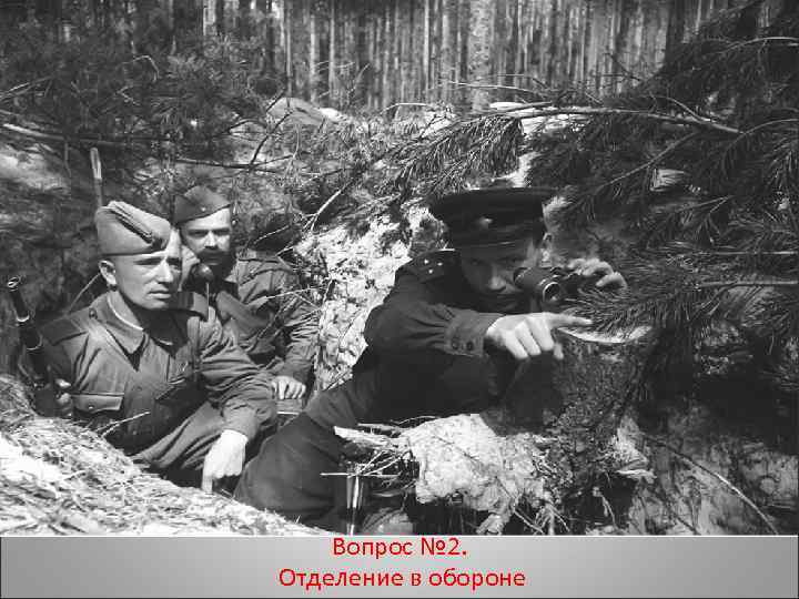 Вопрос № 2. Отделение в обороне 