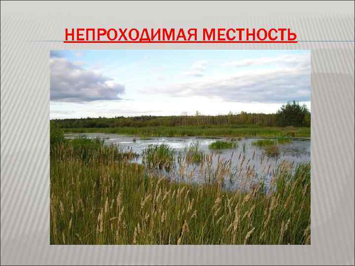 НЕПРОХОДИМАЯ МЕСТНОСТЬ 