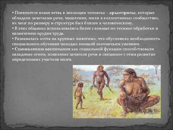  • Появляется новая ветвь в эволюции человека – архантропы, которые обладали зачатками речи,