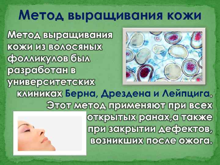 Метод выращивания кожи 