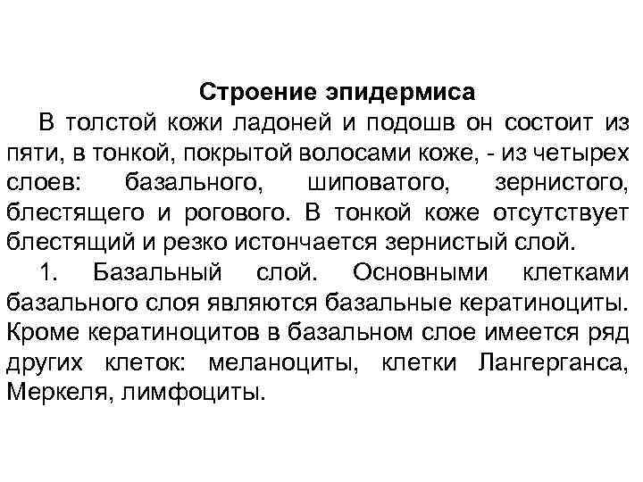 Строение эпидермиса В толстой кожи ладоней и подошв он состоит из пяти, в тонкой,