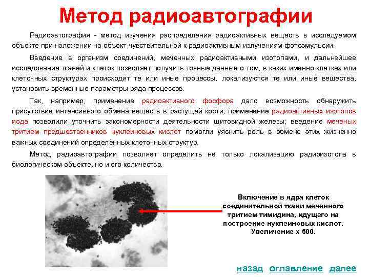 Метод радиоавтографии Радиоавтография - метод изучения распределения радиоактивных веществ в исследуемом объекте при наложении