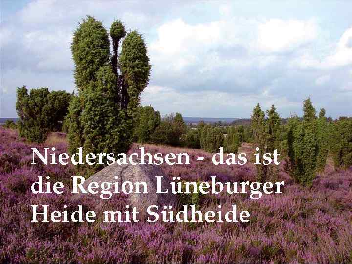 Niedersachsen - das ist die Region Lüneburger Heide mit Südheide 