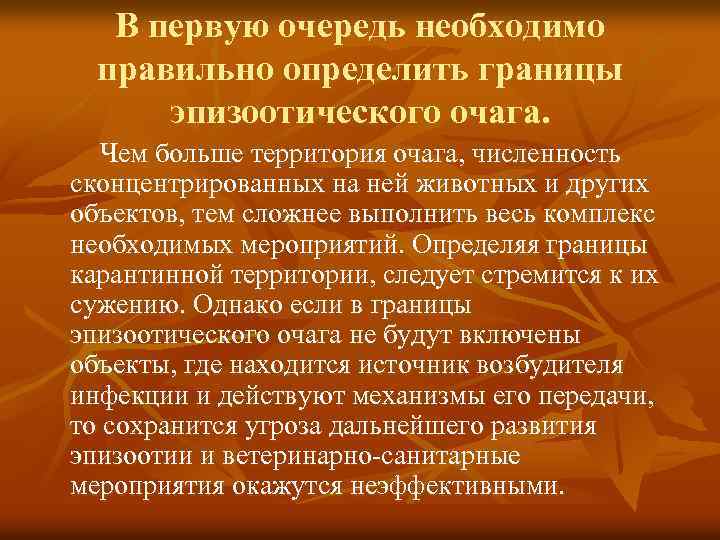 В первую очередь необходимо правильно определить границы эпизоотического очага. Чем больше территория очага, численность