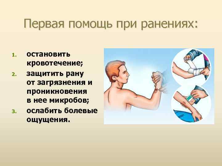 Первая помощь при ранениях: 1. 2. 3. остановить кровотечение; защитить рану от загрязнения и