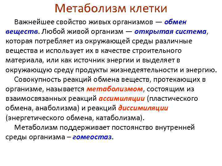 Метаболизм клетки Важнейшее свойство живых организмов — обмен веществ. Любой живой организм — открытая