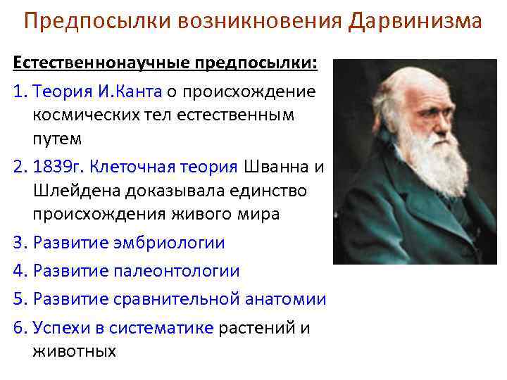 Предпосылки возникновения Дарвинизма Естественнонаучные предпосылки: 1. Теория И. Канта о происхождение космических тел естественным