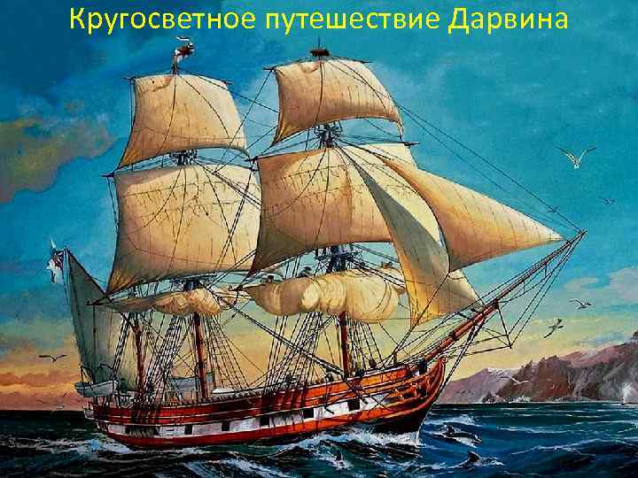 Кругосветное путешествие Дарвина 