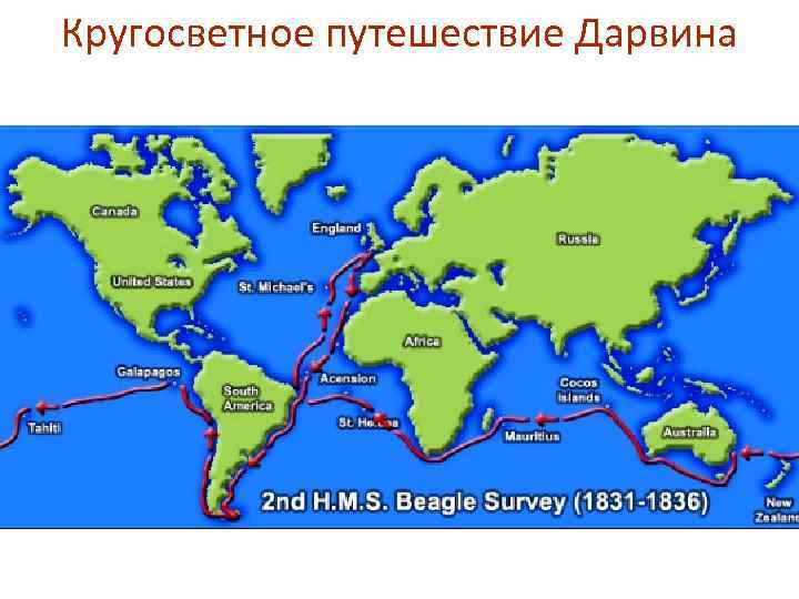 Кругосветное путешествие Дарвина 