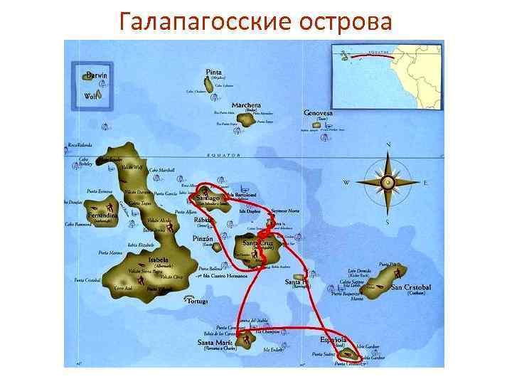 Галапагосские острова 