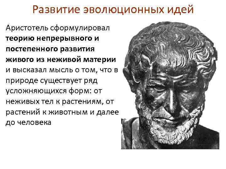 Основные идеи аристотеля. Аристотель Эволюция. Эволюционное учение Аристотеля. Аристотель теория эволюции. Аристотель эволюционные идеи.