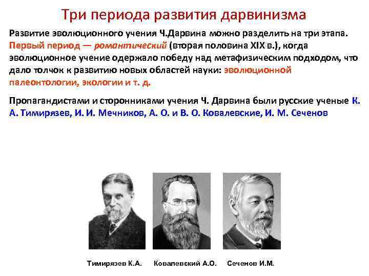 Возникновение дарвинизма. 3 Периода развития дарвинизма. Дарвиновский период развития эволюционного учения. Три периода формирования эволюционной теории Дарвина. Этапы развития дарвинизма.