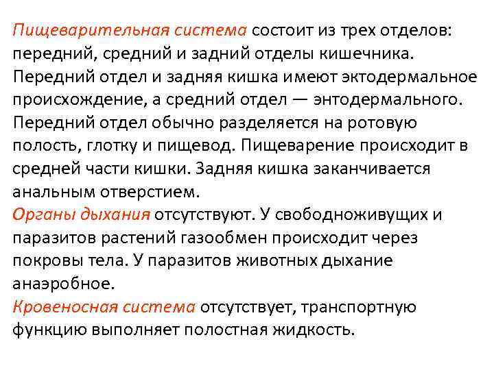 Пищеварительная система состоит из трех отделов: передний, средний и задний отделы кишечника. Передний отдел