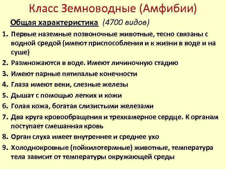 Класс земноводные или амфибии общая характеристика 7 класс презентация