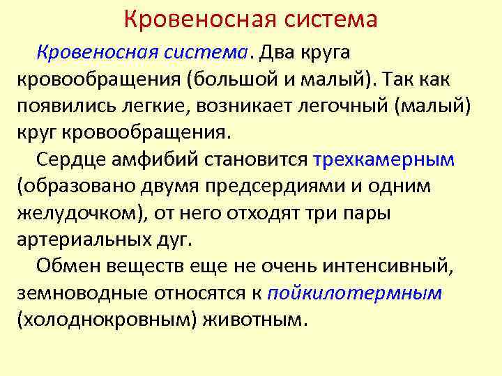 Кровеносная система. Два круга кровообращения (большой и малый). Так как появились легкие, возникает легочный