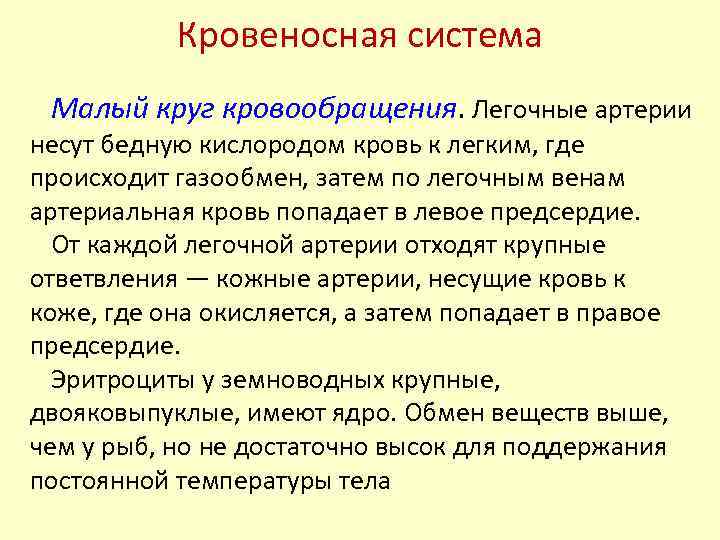 Кровеносная система Малый круг кровообращения. Легочные артерии несут бедную кислородом кровь к легким, где