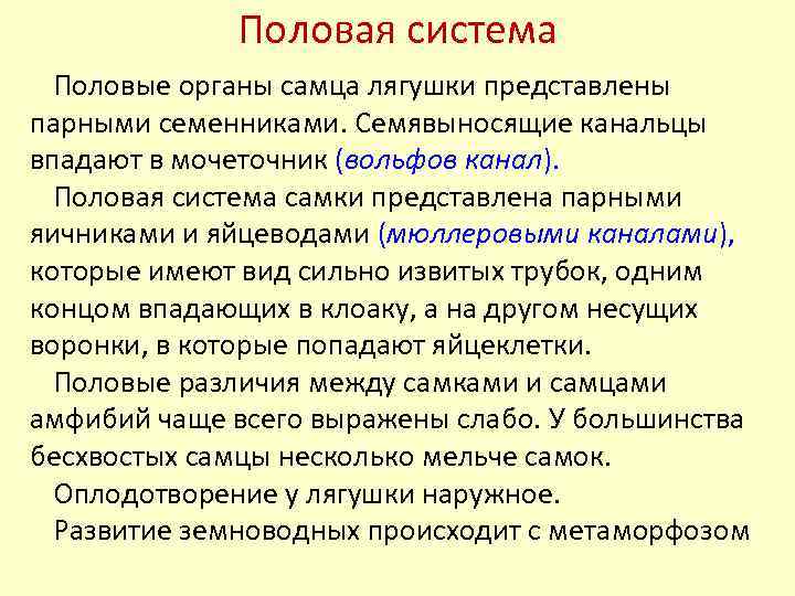 Половая система Половые органы самца лягушки представлены парными семенниками. Семявыносящие канальцы впадают в мочеточник