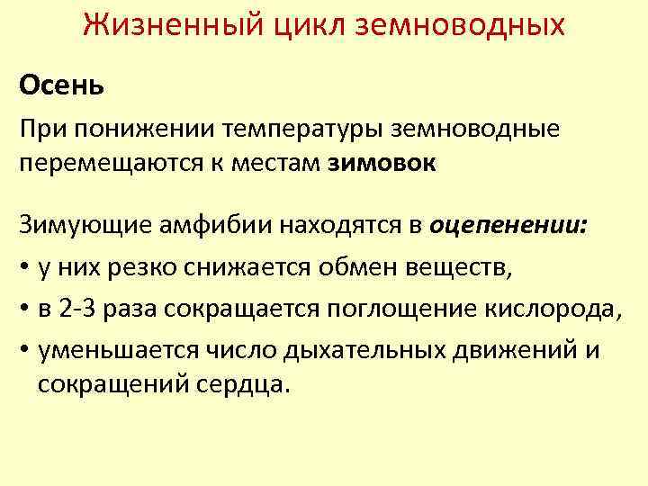 Жизненный цикл земноводных Осень При понижении температуры земноводные перемещаются к местам зимовок Зимующие амфибии