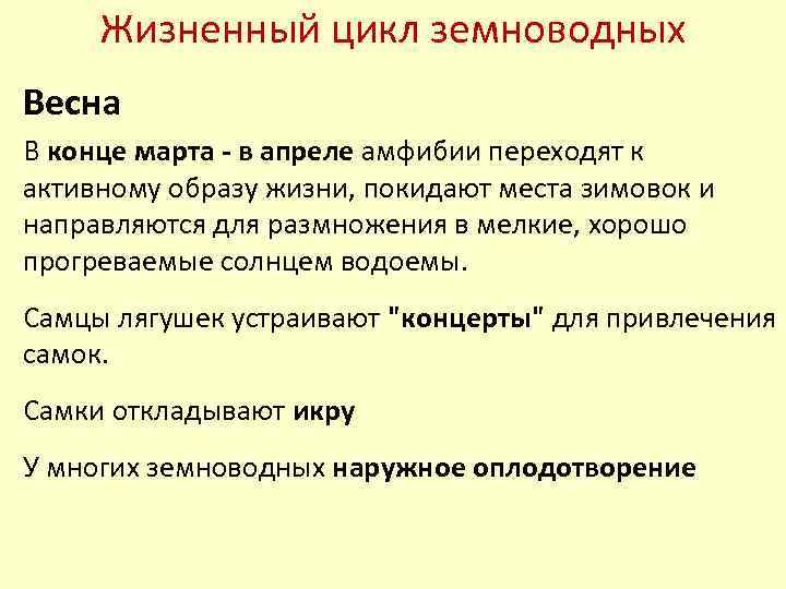 Жизненный цикл земноводных Весна В конце марта - в апреле амфибии переходят к активному