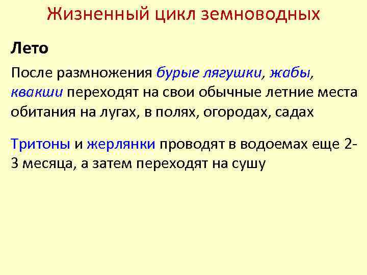 Жизненный цикл земноводных Лето После размножения бурые лягушки, жабы, квакши переходят на свои обычные