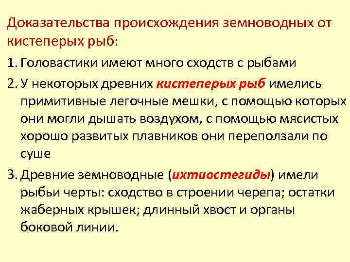 Приведите не менее трех доказательств. Доказательства происхождения амфибий от рыб. Доказательства происхождения земноводных от рыб. Доказательства происхождения земноводных от кистеперых рыб. Доказательства что земноводные произошли от рыб.