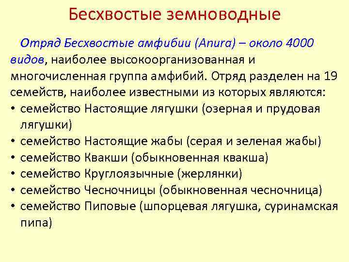Бесхвостые земноводные Отряд Бесхвостые амфибии (Anura) – около 4000 видов, наиболее высокоорганизованная и многочисленная