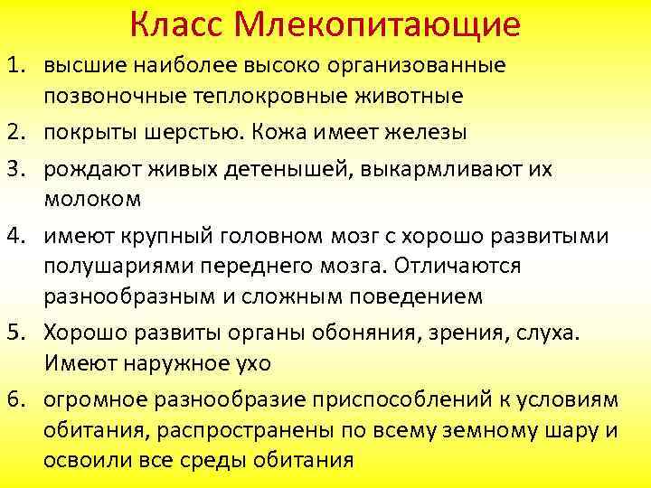 Класс Млекопитающие 1. высшие наиболее высоко организованные позвоночные теплокровные животные 2. покрыты шерстью. Кожа