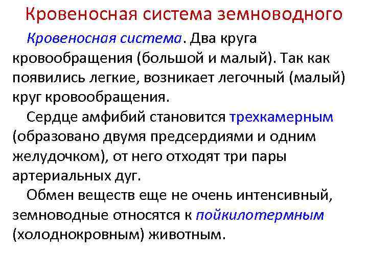 Кровеносная система земноводного Кровеносная система. Два круга кровообращения (большой и малый). Так как появились