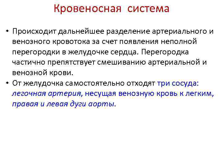 Кровеносная система • Происходит дальнейшее разделение артериального и венозного кровотока за счет появления неполной