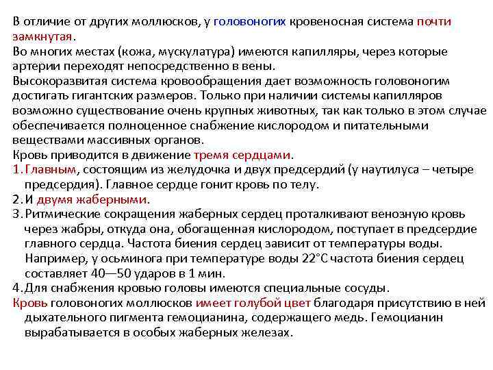 В отличие от других моллюсков, у головоногих кровеносная система почти замкнутая. Во многих местах