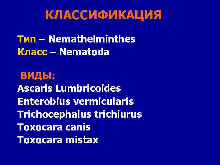 КЛАССИФИКАЦИЯ Тип – Nemathelminthes Класс – Nematoda ВИДЫ: Ascaris Lumbricoides Enterobius vermicularis Trichocephalus trichiurus