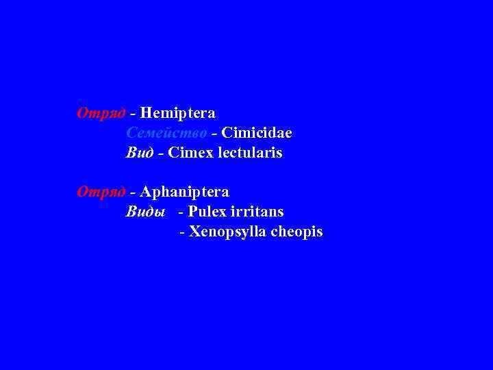 Отряд - Hemiptera Семейство - Cimicidae Вид - Cimex lectularis Отряд - Aphaniptera Виды