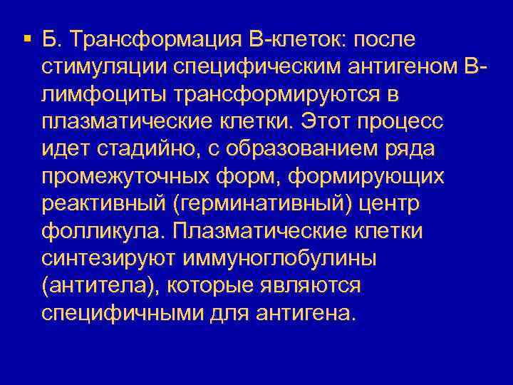 § Б. Трансформация В-клеток: после стимуляции специфическим антигеном Bлимфоциты трансформируются в плазматические клетки. Этот