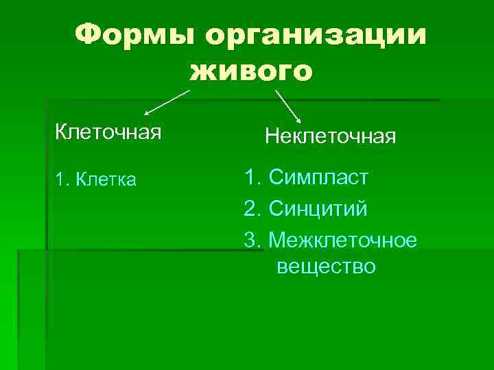 Формы организации живой природы