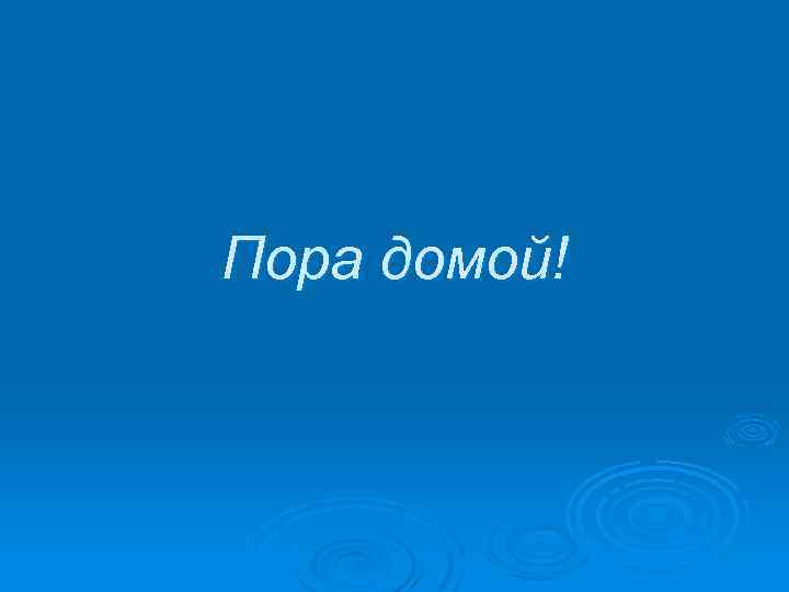Пора домой! 