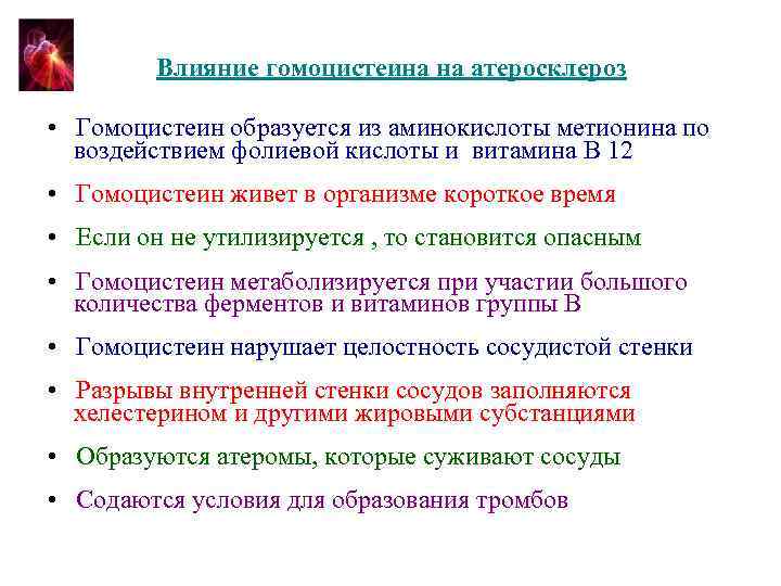 Влияние гомоцистеина на атеросклероз • Гомоцистеин образуется из аминокислоты метионина по воздействием фолиевой кислоты